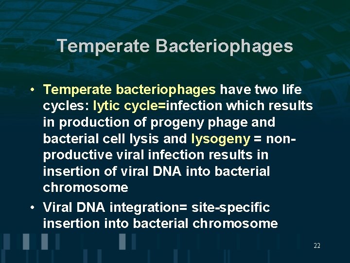 Temperate Bacteriophages • Temperate bacteriophages have two life cycles: lytic cycle=infection which results in