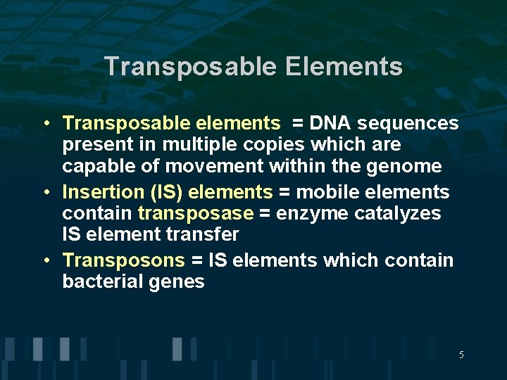Transposable Elements • Transposable elements = DNA sequences present in multiple copies which are