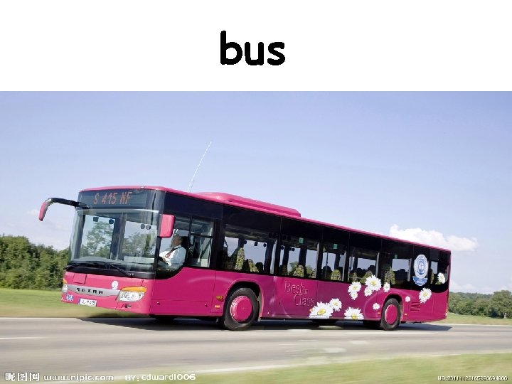bus 