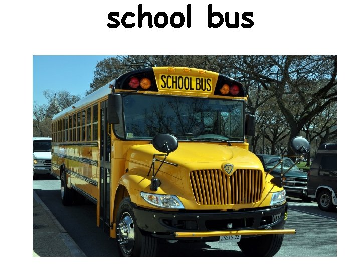 school bus 