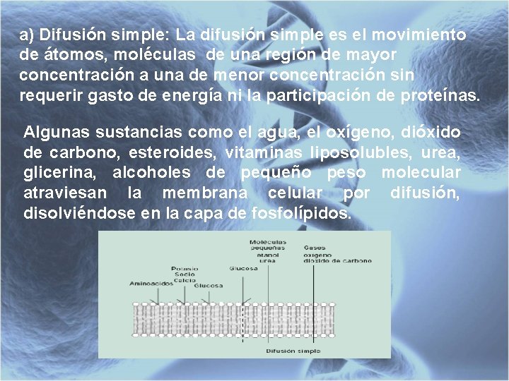 a) Difusión simple: La difusión simple es el movimiento de átomos, moléculas de una