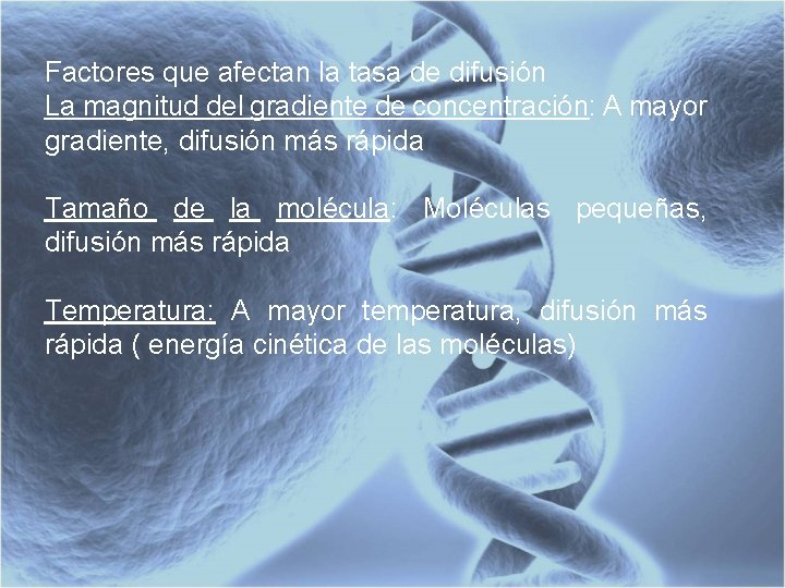 Factores que afectan la tasa de difusión La magnitud del gradiente de concentración: A