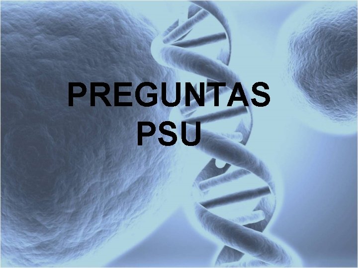 PREGUNTAS PSU 