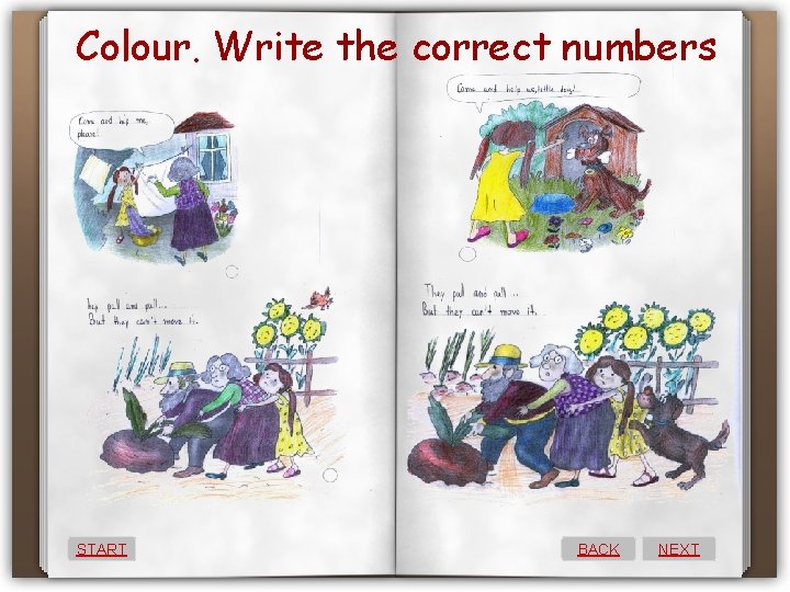 Colour. Write the correct numbers START BACK NEXT 