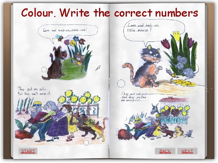 Colour. Write the correct numbers START BACK NEXT 