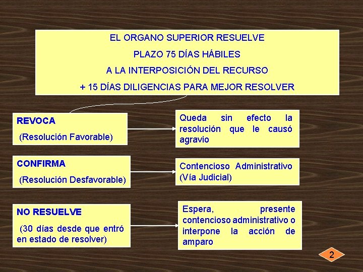 EL ORGANO SUPERIOR RESUELVE PLAZO 75 DÍAS HÁBILES A LA INTERPOSICIÓN DEL RECURSO +