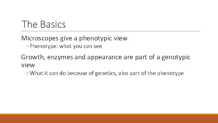 The Basics Microscopes give a phenotypic view ◦ Phenotype: what you can see Growth,