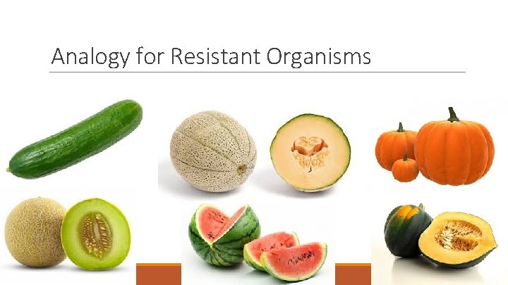 Analogy for Resistant Organisms 