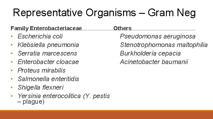 Representative Organisms – Gram Neg Family Enterobacteriaceae Others • • Escherichia coli Klebsiella pneumonia