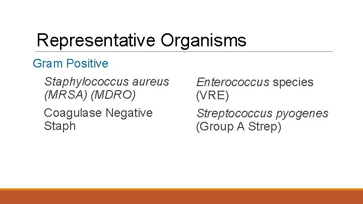Representative Organisms Gram Positive Staphylococcus aureus (MRSA) (MDRO) Coagulase Negative Staph Enterococcus species (VRE)
