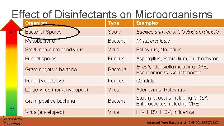 Effect of Disinfectants on Microorganisms R^ S* ^Resistant *Sensitive Organism Type Examples Bacterial Spores