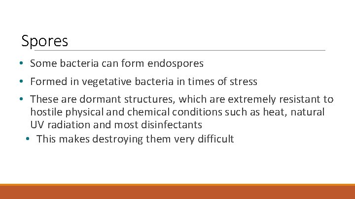 Spores • Some bacteria can form endospores • Formed in vegetative bacteria in times