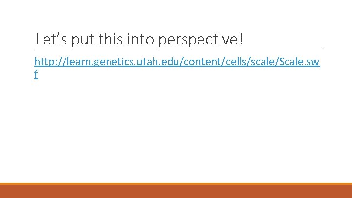 Let’s put this into perspective! http: //learn. genetics. utah. edu/content/cells/scale/Scale. sw f 