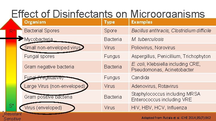 Effect of Disinfectants on Microorganisms R^ S* ^Resistant *Sensitive Organism Type Examples Bacterial Spores