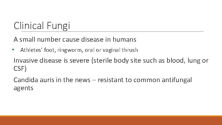 Clinical Fungi A small number cause disease in humans • Athletes’ foot, ringworm, oral