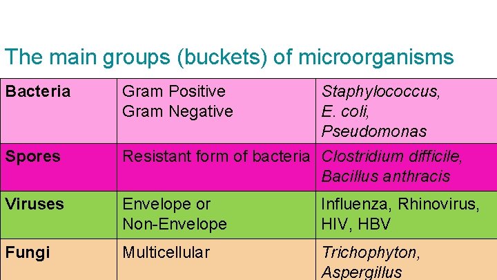 The main groups (buckets) of microorganisms Bacteria Spores Gram Positive Gram Negative Staphylococcus, E.