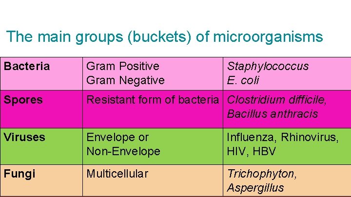 The main groups (buckets) of microorganisms Bacteria Gram Positive Gram Negative Staphylococcus E. coli