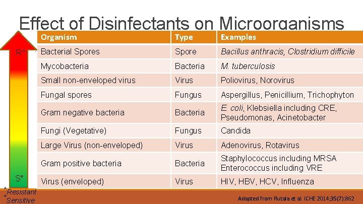 Effect of Disinfectants on Microorganisms R^ S* ^Resistant *Sensitive Organism Type Examples Bacterial Spores