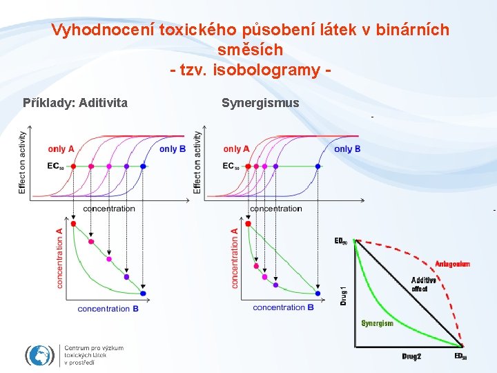 Vyhodnocení toxického působení látek v binárních směsích - tzv. isobologramy Příklady: Aditivita Synergismus 