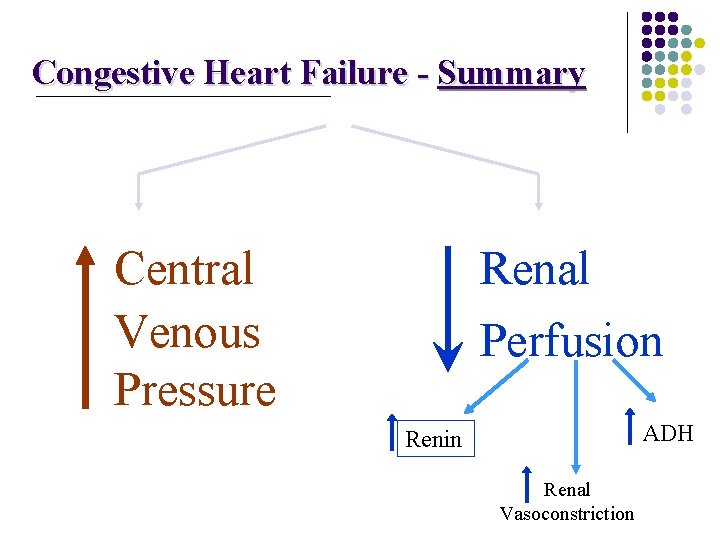Congestive Heart Failure - Summary Central Venous Pressure Renal Perfusion ADH Renin Renal Vasoconstriction