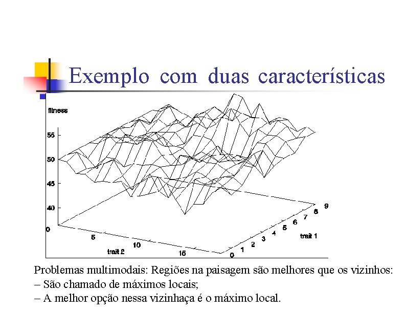 Exemplo com duas características Problemas multimodais: Regiões na paisagem são melhores que os vizinhos: