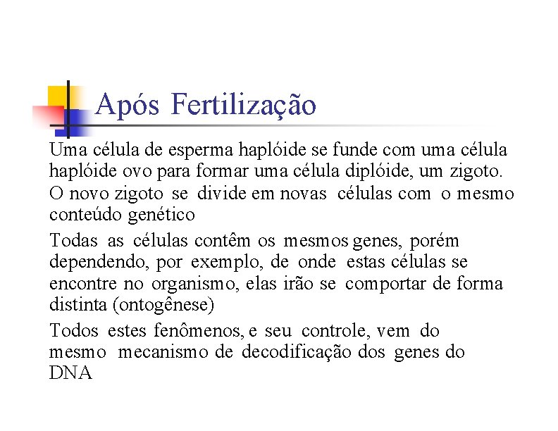 Após Fertilização Uma célula de esperma haplóide se funde com uma célula haplóide ovo