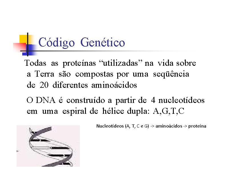 Código Genético Todas as proteínas “utilizadas” na vida sobre a Terra são compostas por