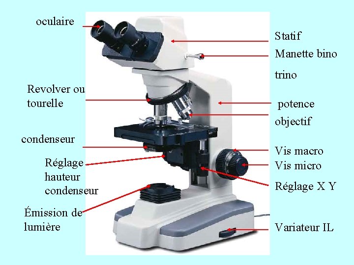 oculaire Statif Manette bino trino Revolver ou tourelle condenseur Réglage hauteur condenseur Émission de