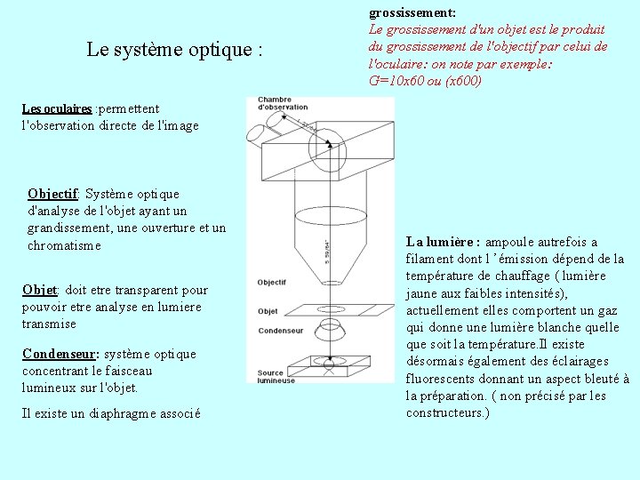 Le système optique : grossissement: Le grossissement d'un objet est le produit du grossissement