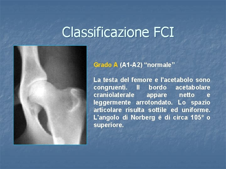 Classificazione FCI Grado A (A 1 -A 2) “normale” La testa del femore e