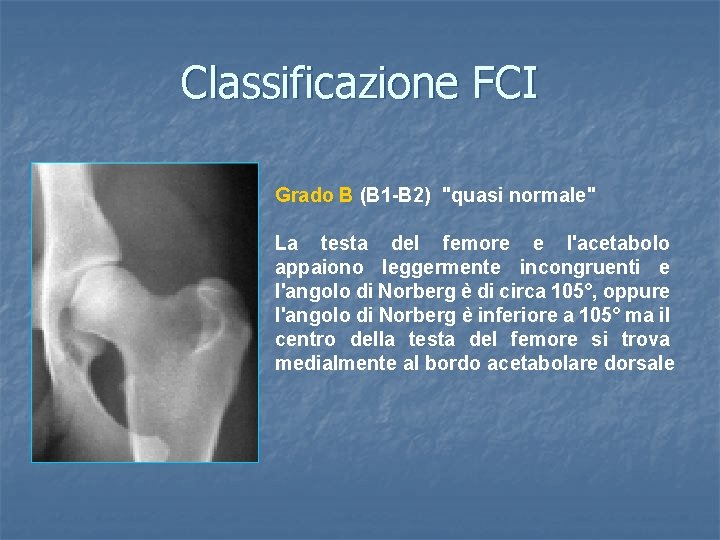 Classificazione FCI Grado B (B 1 -B 2) "quasi normale" La testa del femore