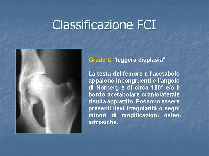 Classificazione FCI Grado C "leggera displasia" La testa del femore e l'acetabolo appaiono incongruenti