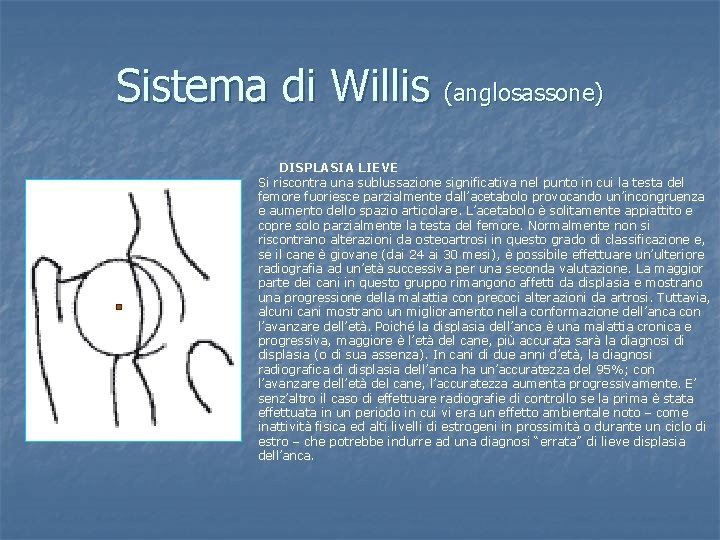 Sistema di Willis (anglosassone) DISPLASIA LIEVE Si riscontra una sublussazione significativa nel punto in