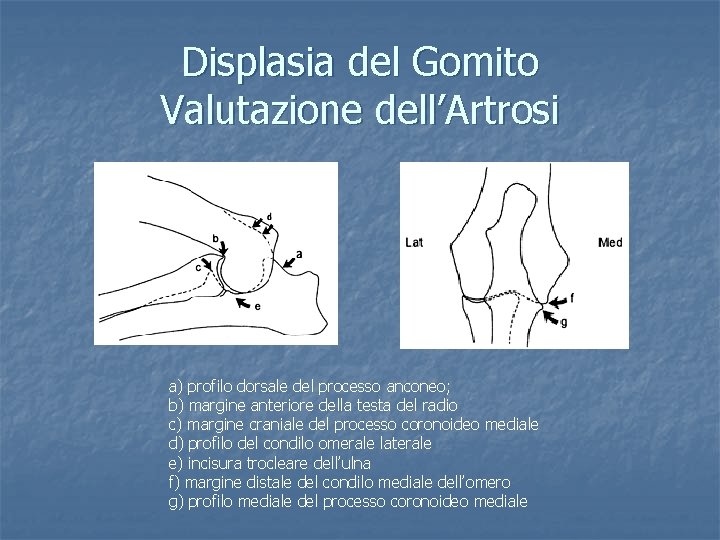 Displasia del Gomito Valutazione dell’Artrosi a) profilo dorsale del processo anconeo; b) margine anteriore