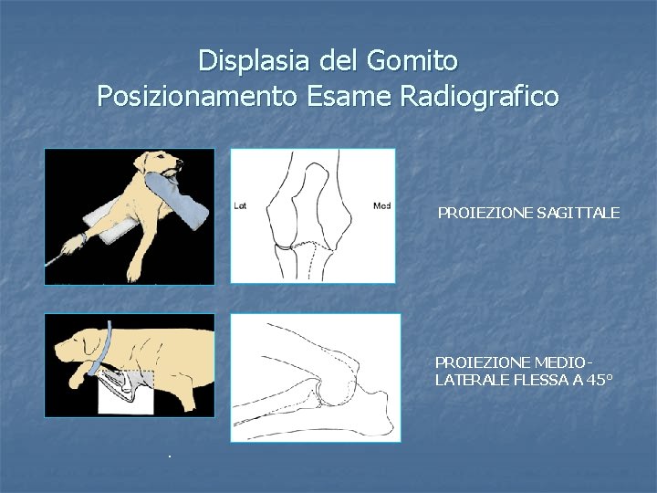 Displasia del Gomito Posizionamento Esame Radiografico PROIEZIONE SAGITTALE PROIEZIONE MEDIOLATERALE FLESSA A 45° .