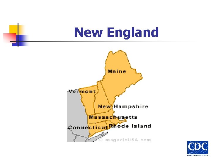 New England 