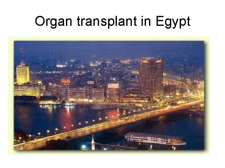 Organ transplant in Egypt 