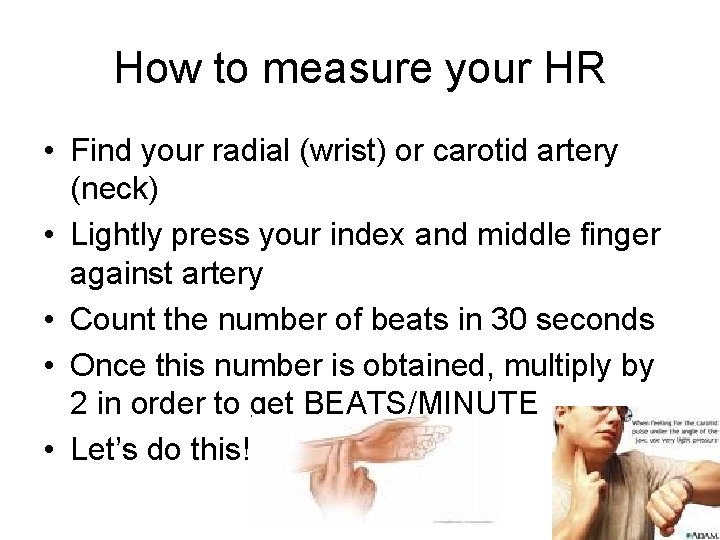 How to measure your HR • Find your radial (wrist) or carotid artery (neck)