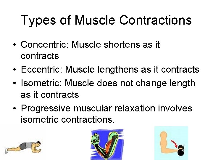 Types of Muscle Contractions • Concentric: Muscle shortens as it contracts • Eccentric: Muscle