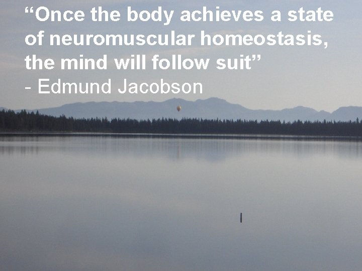 “Once the body achieves a state of neuromuscular homeostasis, the mind will follow suit”