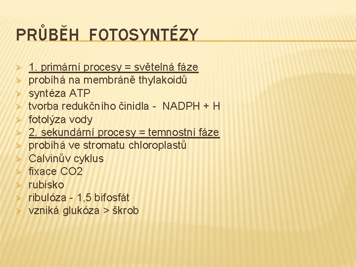 PRŮBĚH FOTOSYNTÉZY Ø Ø Ø 1. primární procesy = světelná fáze probíhá na membráně