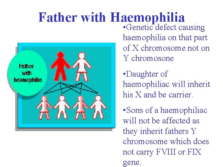 Father with Haemophilia • Genetic defect causing haemophilia on that part of X chromosome