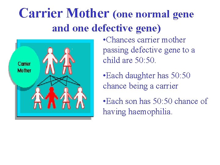 Carrier Mother (one normal gene and one defective gene) • Chances carrier mother passing