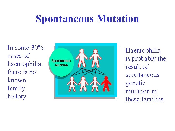 Spontaneous Mutation In some 30% cases of haemophilia there is no known family history
