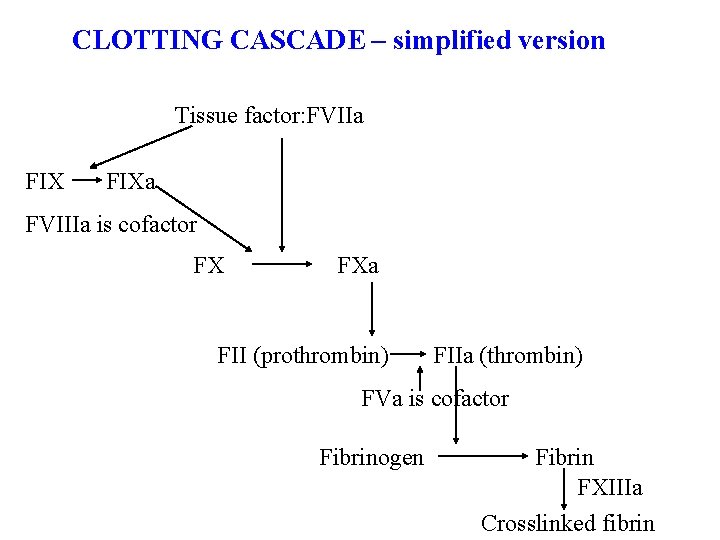 CLOTTING CASCADE – simplified version Tissue factor: FVIIa FIXa FVIIIa is cofactor FX FXa