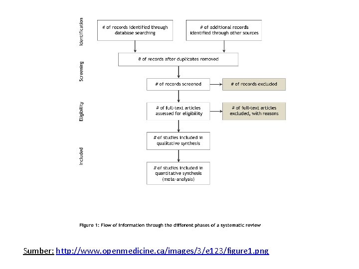 Sumber: http: //www. openmedicine. ca/images/3/e 123/figure 1. png 