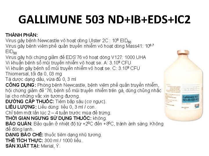 GALLIMUNE 503 ND+IB+EDS+IC 2 THÀNH PHẦN: Virus gây bệnh Newcastle vô hoạt dòng Ulster