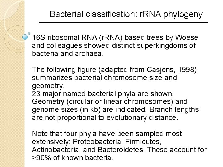 Bacterial classification: r. RNA phylogeny 16 S ribosomal RNA (r. RNA) based trees by