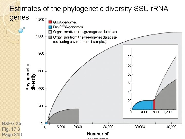 Phylogenetic diversity Estimates of the phylogenetic diversity SSU r. RNA genes B&FG 3 e