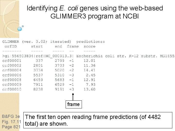 Identifying E. coli genes using the web-based GLIMMER 3 program at NCBI frame B&FG